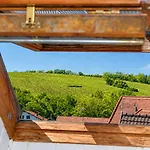 Apartment Le Nid, Duplex Lumineux Proche Colmar Soultz-Haut-Rhin