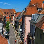 Apartment Le Nid, Duplex Lumineux Proche Colmar *