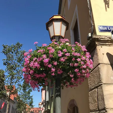 Le Nid, Duplex Centre アパート