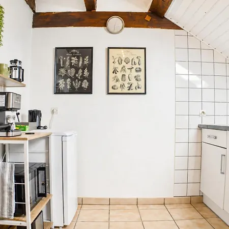 Le Nid, Duplex Lumineux Proche Colmar Soultz-Haut-Rhin