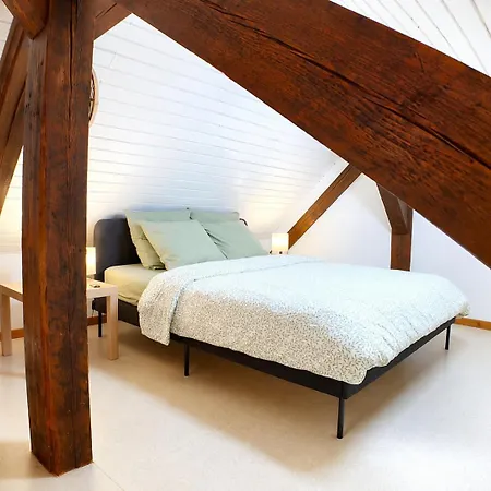Le Nid, Duplex Lumineux Proche Colmar Lejlighed