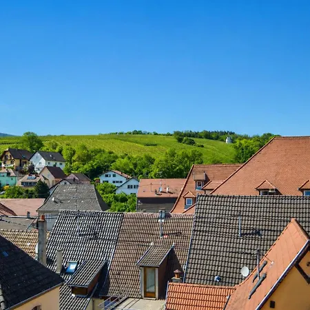 Le Nid, Duplex Lumineux Proche Colmar Soultz-Haut-Rhin