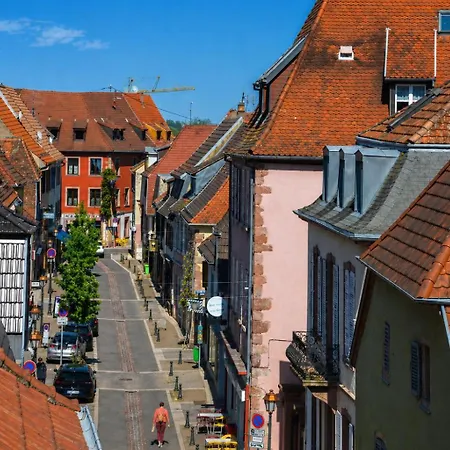Apartman Le Nid, Duplex Lumineux Proche Colmar *