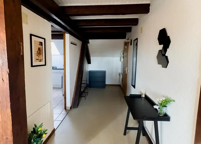 Le Nid, Duplex Lumineux Proche Colmar