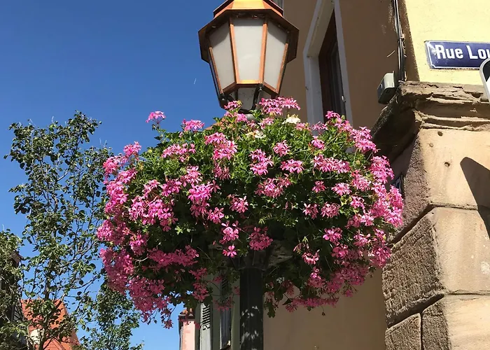 Le Nid, Duplex Lumineux Proche Colmar Lejlighed
