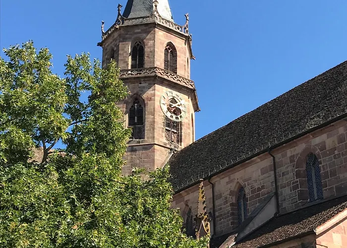 Le Nid, Duplex Lumineux Proche Colmar