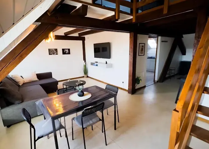 Le Nid, Duplex Lumineux Proche Colmar